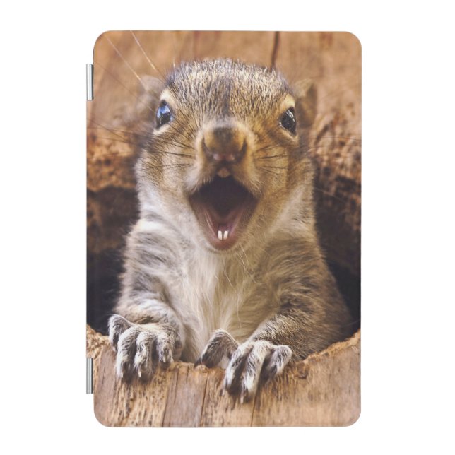 Shocked Squirrel iPad Mini Cover (Front)