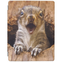 Shocked Squirrel iPad Smart Cover