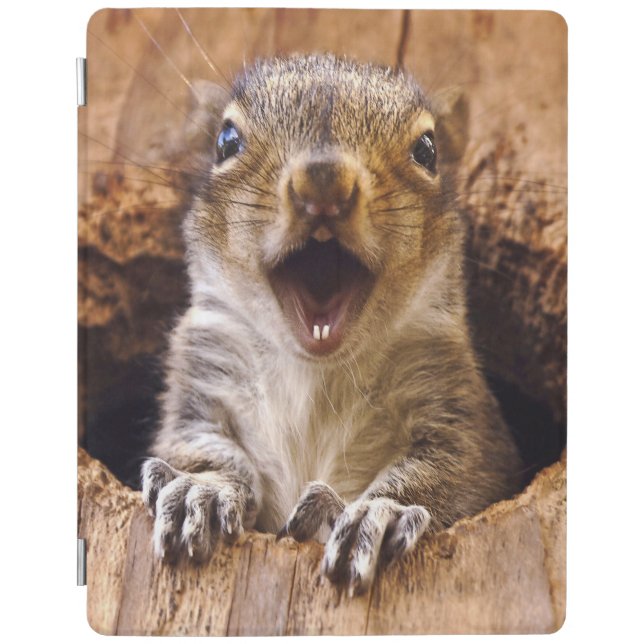Shocked Squirrel iPad Smart Cover (Front)