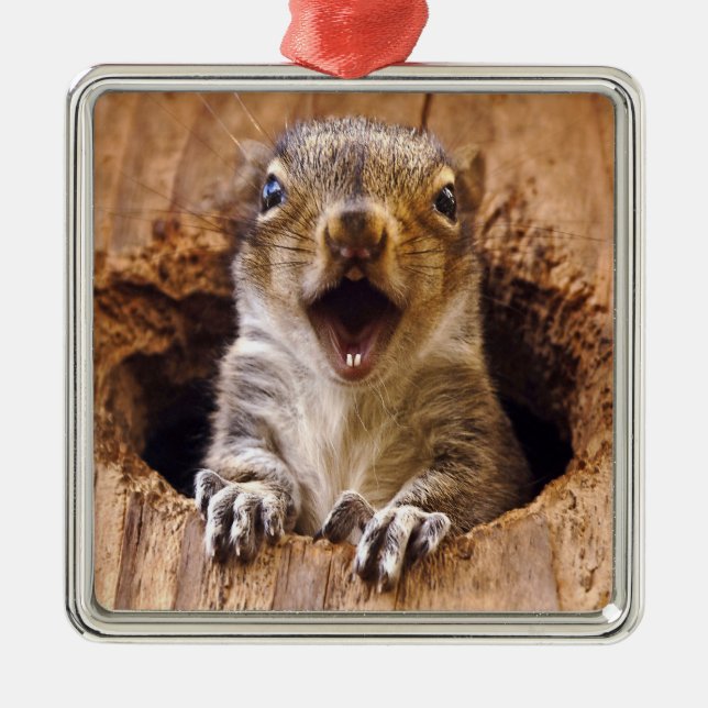 Shocked Squirrel Metal Ornament (Front)