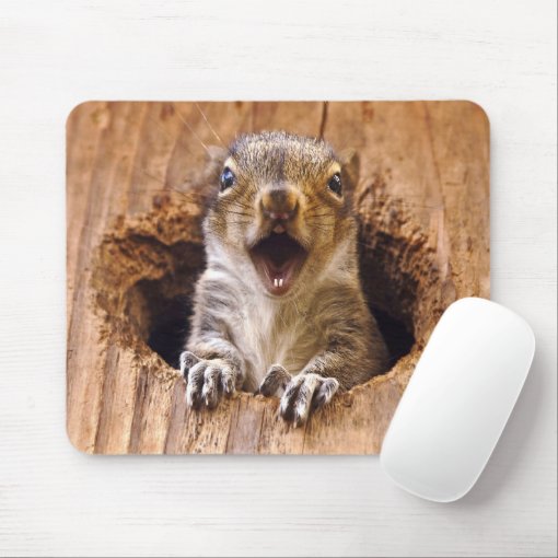 Shocked Squirrel Mouse Pad | Zazzle