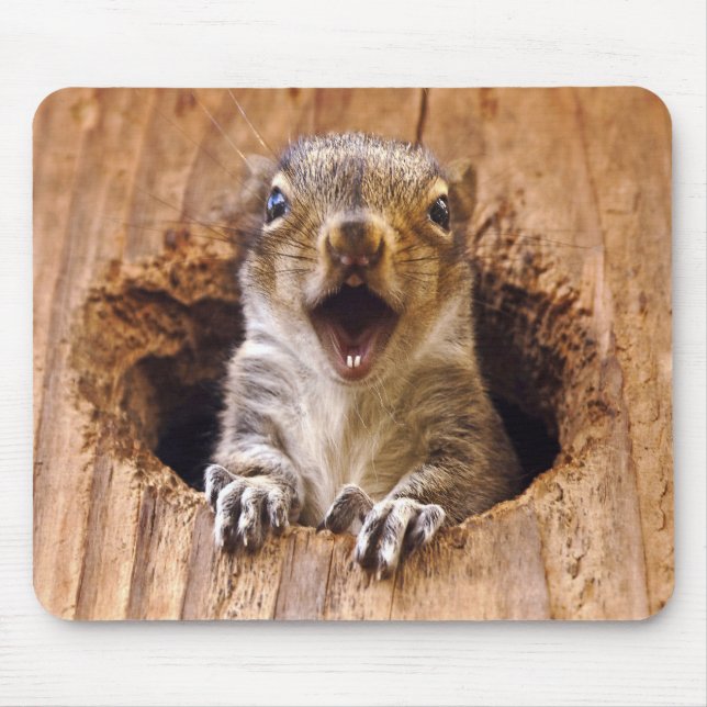 Shocked Squirrel Mouse Pad (Front)