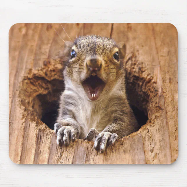 ROFL Mouse Pad: Hilarious Squirrel Mouse Pad For Rofl-crazy