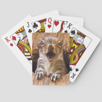 Shocked Squirrel Poker Cards
