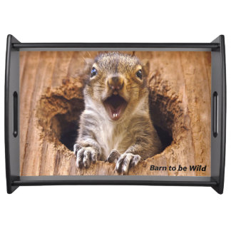 Shocked Squirrel Serving Tray