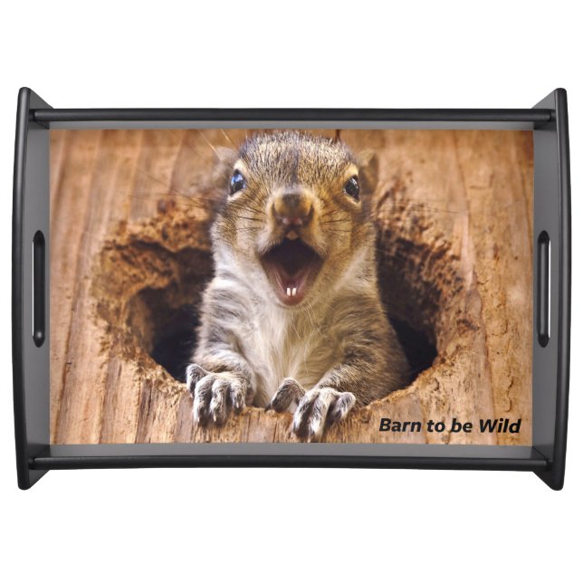 Shocked Squirrel Serving Tray (Front)