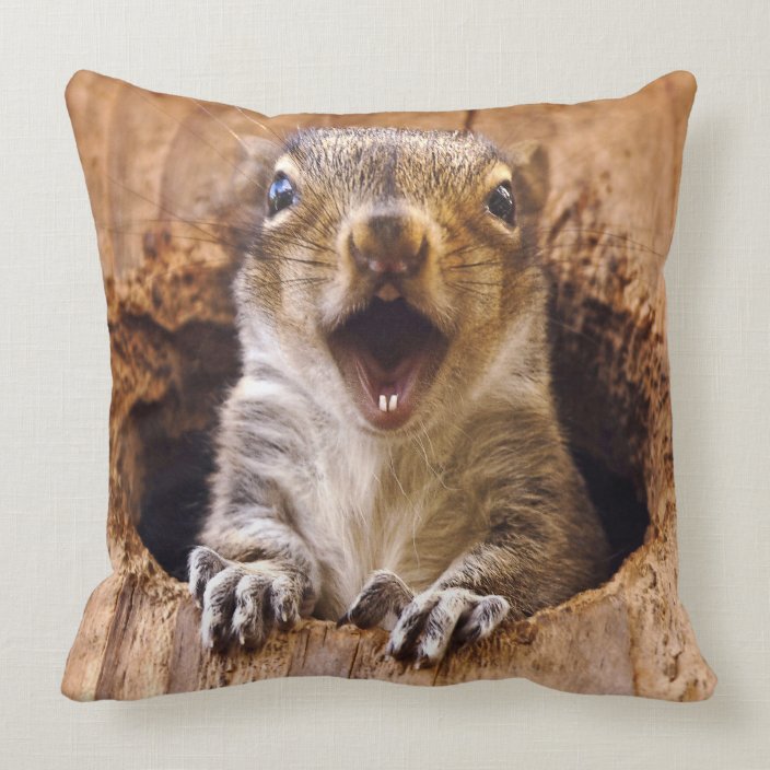 ikea squirrel pillow