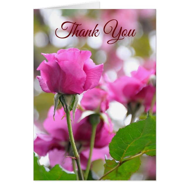 Shocking Pink Beautiful Rose Thank You Card (Front)