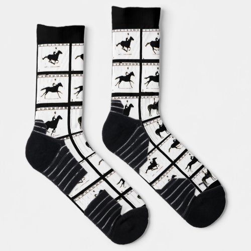 Shocks Higt _ Performance _ Horse in Motion Socks