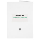 Shoe Therapy card (Back)