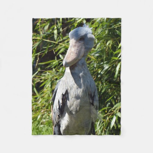 Shoebill Balaeniceps rex Fleece Blanket