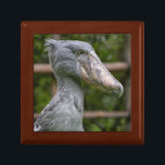 Shoebill (Balaeniceps rex) Gift Box<br><div class="desc">The Shoebill is a unique bird that hasne't forgoten its dinosaurian heritage. It's most commonly seen in Uganda.</div>