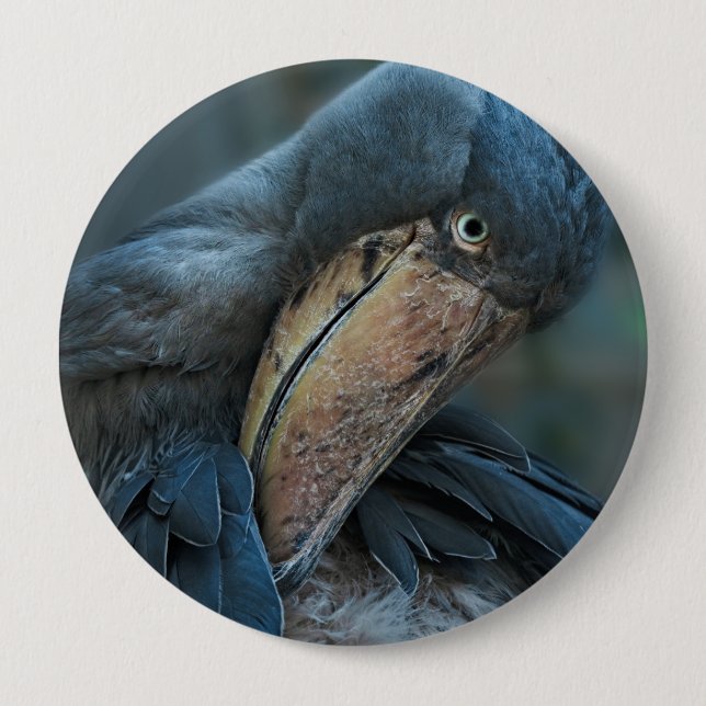 Shoebill Button (Front)