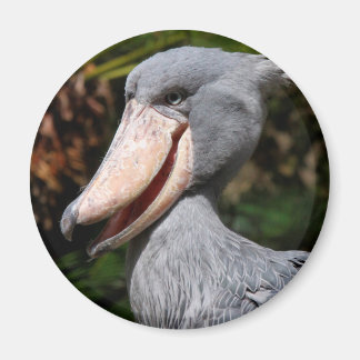 Shoebill Magnet