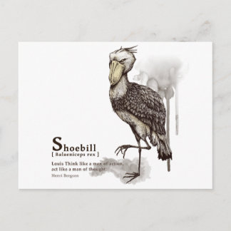 shoebill - mocha postcard