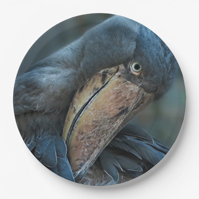 Shoebill Paper Plates (Front)
