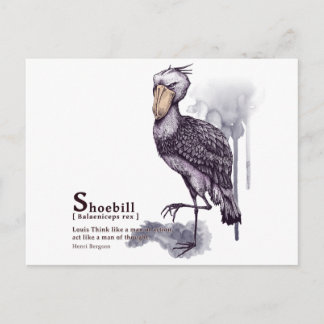 shoebill - plum postcard