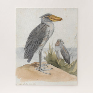 Shoebill Stork 1887 Print Zoological African Jigsaw Puzzle