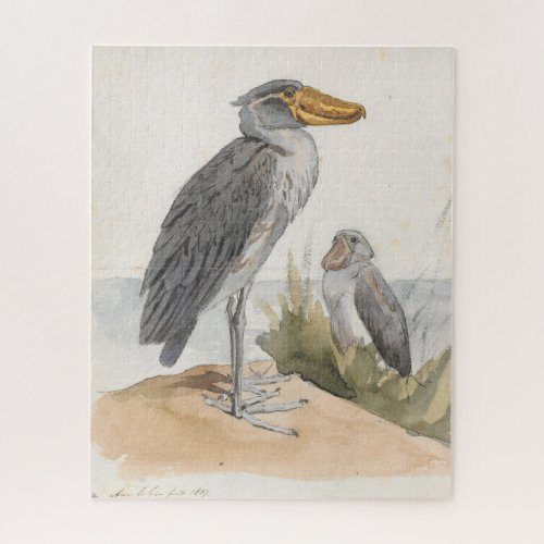 Shoebill Stork 1887 Print Zoological African Jigsaw Puzzle