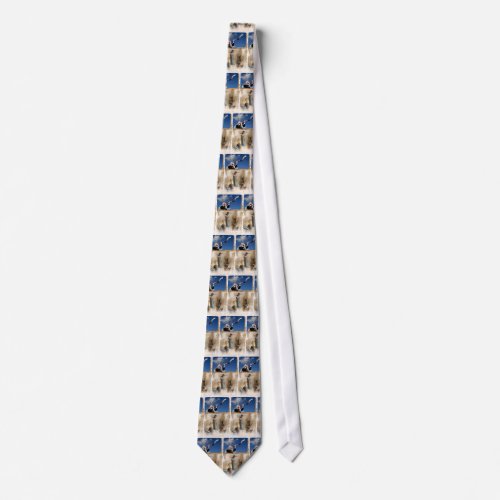 Shofar Neck Tie