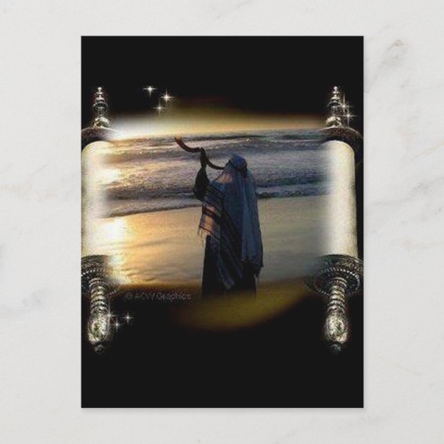 Shofar Scroll Postcard (Front)