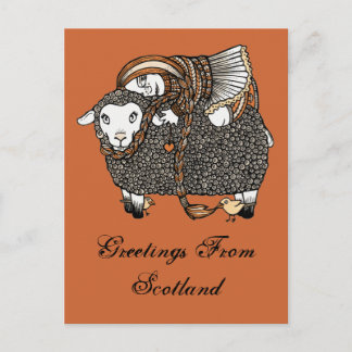 Shonaghs Sheep Postcard