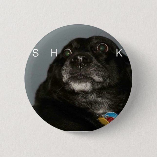 SHOOK Original Button (Front)