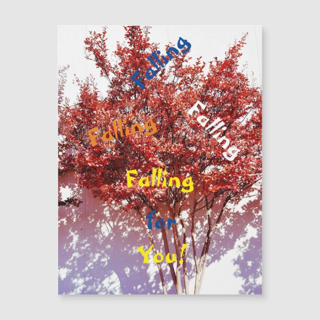 Shoot Your Shot To Anyone Magnetic Greeting Card (Front)