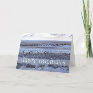 Shootin' the holiday card