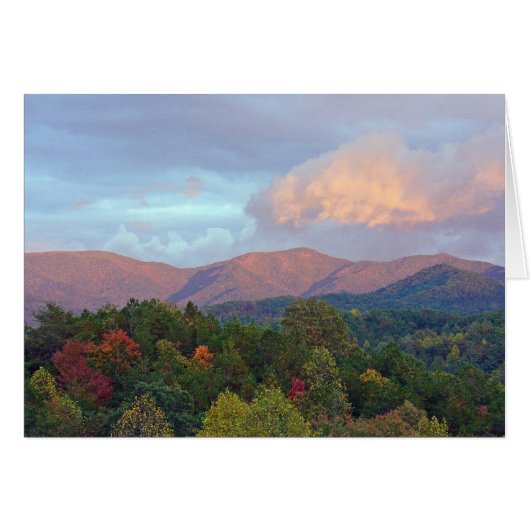 Shooting Creek (Front Horizontal)