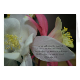 Shooting Star - Coumbine Bloom Ecclesiastes 3:11 Cards