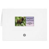 Shooting Star Flowers Cards (Back Horizontal)