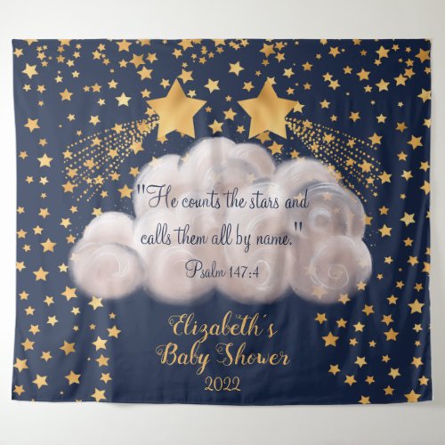 Shooting Star Twin Baby Shower Backdrop