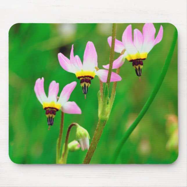 Shooting Star Wildflowers in Mission Trails Park Mouse Pad (Front)