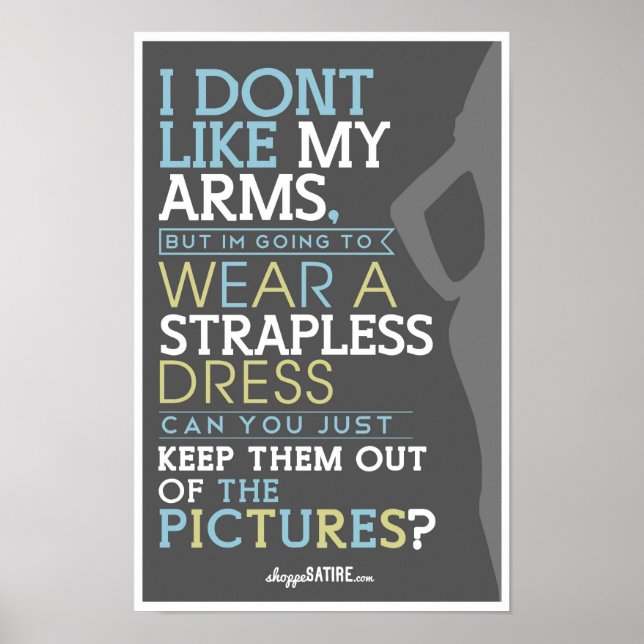Shoppe Satire - Humor for Photographers Poster (Front)