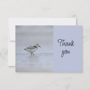 Shore Bird Event Volunteer Thank You Card
