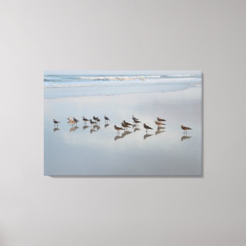 Shore Birds Canvas Print