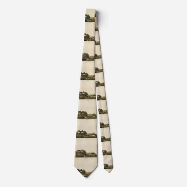 Shore Lark (Horned Lark) Audubon Birds of America Neck Tie (Front)