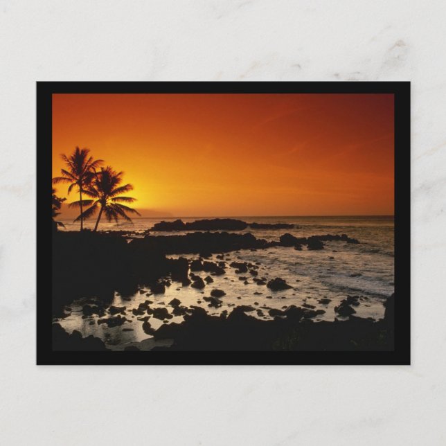 Shore Oahu Hawaii Postcard (Front)