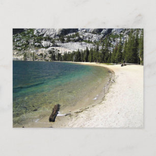 Shore of Tenaya Lake, Yosemite, California Postcard