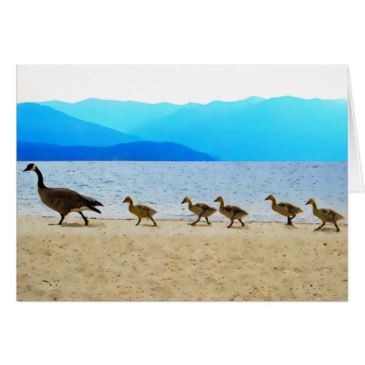 Shore Patrol Canada Geese Cards (Front Horizontal)