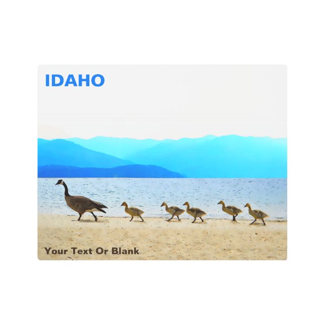 Shore Patrol Canada Geese Metal Print (Front)