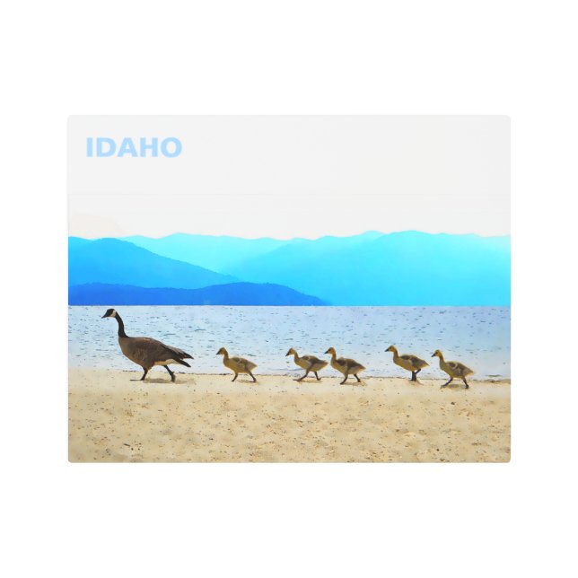 Shore Patrol Canada Geese Metal Print (Front)