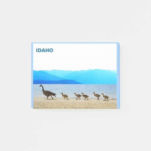 Shore Patrol - Canada Geese Post-it Notes (Front)