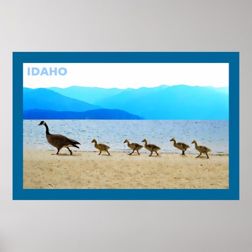 Shore Patrol Canada Geese Poster