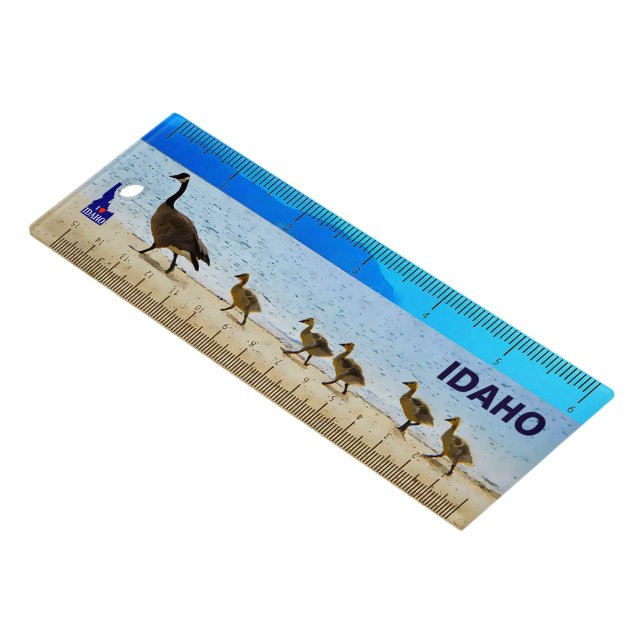 Shore Patrol Canada Geese Ruler (Angled)