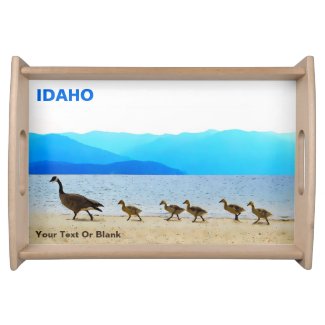Shore Patrol - Canada Geese 