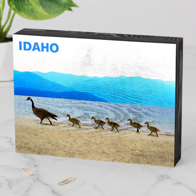 Shore Patrol Canada Geese Wooden Box Sign (In Situ Horizontal)