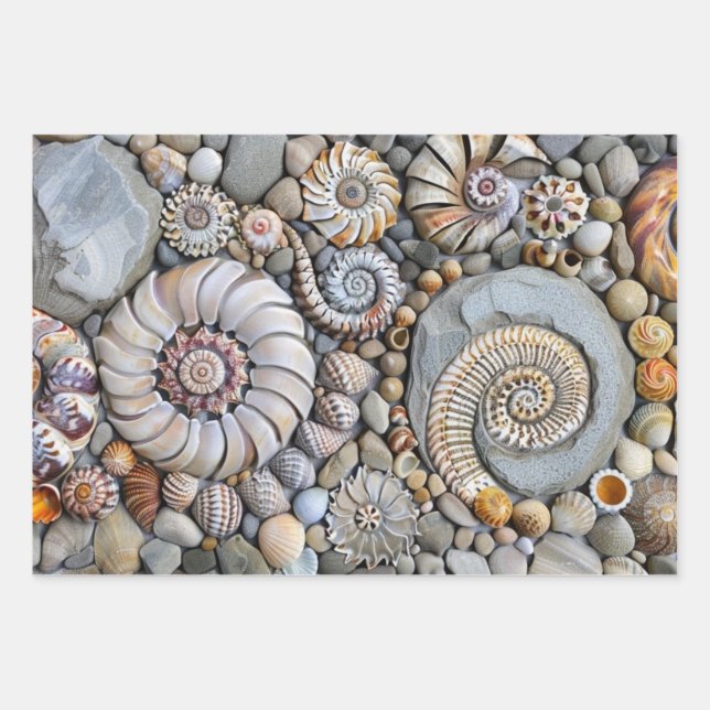 Shore Shells  Wrapping Paper Sheets (Front 2)