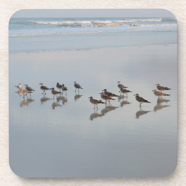 Shorebirds Beverage Coaster (Front)